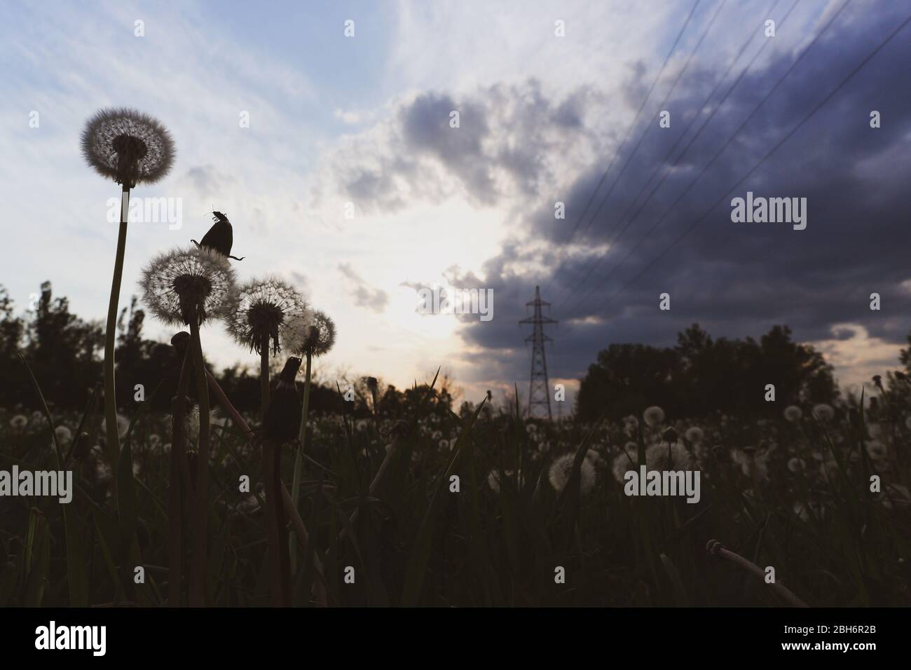 Uber Kopf Stromleitung Stockfotos Und Bilder Kaufen Alamy