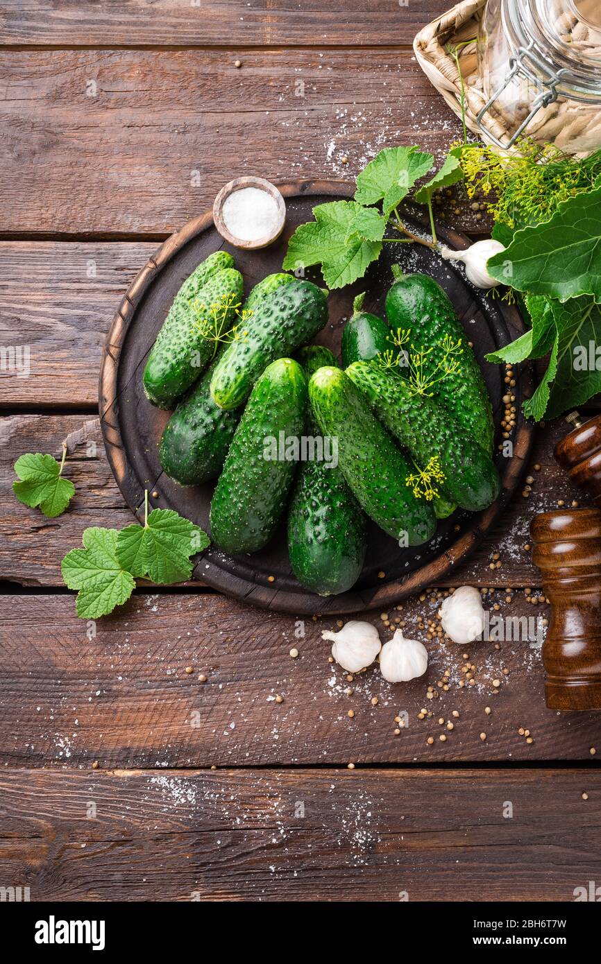 Gurken gären, Kochrezept gesalzen oder marinierten Gurken mit Knoblauch und Dill mit Zutaten auf der Küche Stockfoto