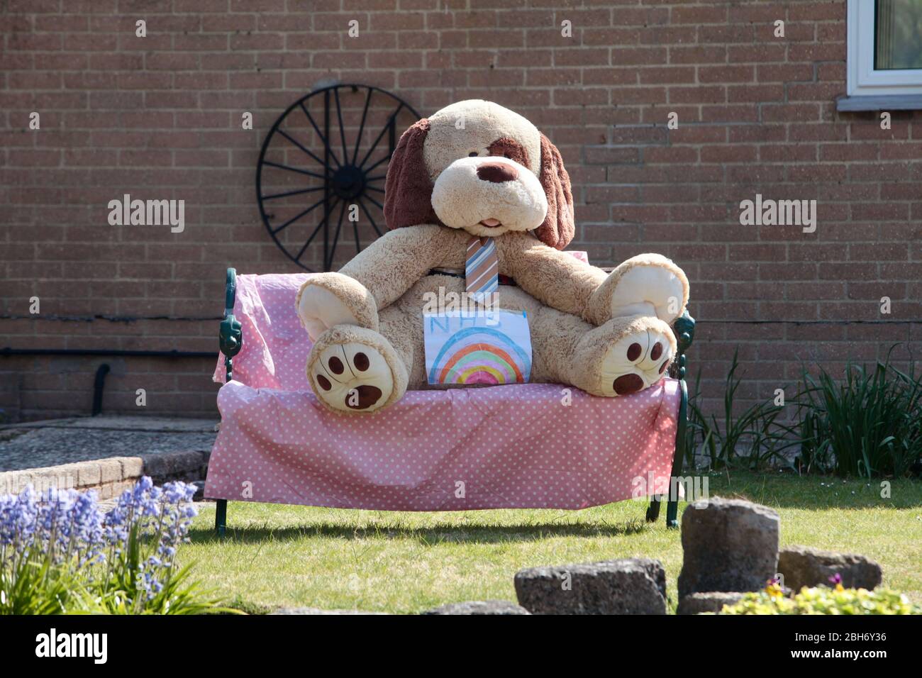 Coronavirus Lockdown, Dorset UK April 2020. Regenbogen NHS Malerei an riesigen weichen Spielzeug außerhalb Haus festgeklemmt. Die Leute setzen Teddybären in ihren Fetzen Stockfoto