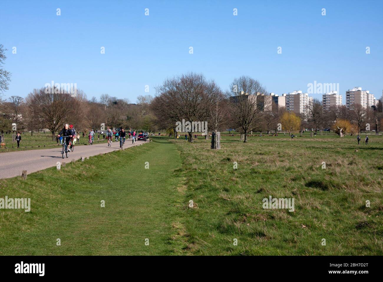 Richmond Park, London, während des Coronavirus-Ausbruchs 2020 Stockfoto
