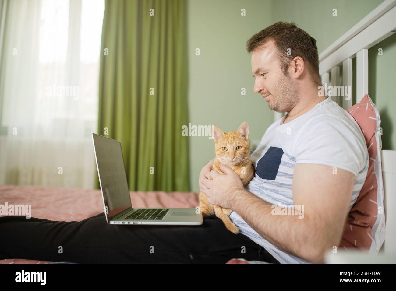 Ein erwachsener Mann liegt im Bett, während er von zu Hause aus mit seinem Laptop arbeitet und eine Katze in den Armen hat. Heimbüro für Haustierliebhaber. Stockfoto