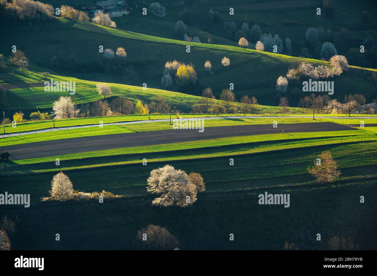 Einzigartige ökologische Landbewirtschaftung in der Nähe von Hrinova mit Feldern für den Anbau von Kartoffeln und Wiesen für die Zucht von Kühen und Schafen für die heimiale Produktion von Chee Stockfoto