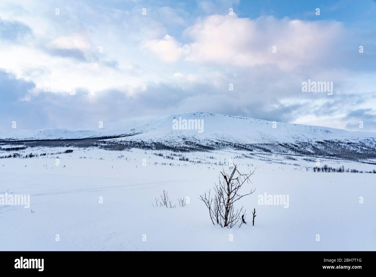 Eisige Winterlandschaft in der Wildnis der Tundra in Nordnorwegen, in der Nähe der Stadt Tromsoe Stockfoto