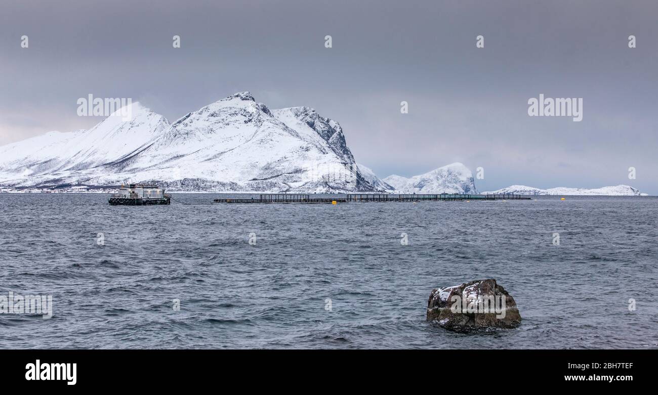 Fischfarm im Winter auf der Insel Vengsøy im Norden Norwegens In der Nähe von Tromsoe Stockfoto