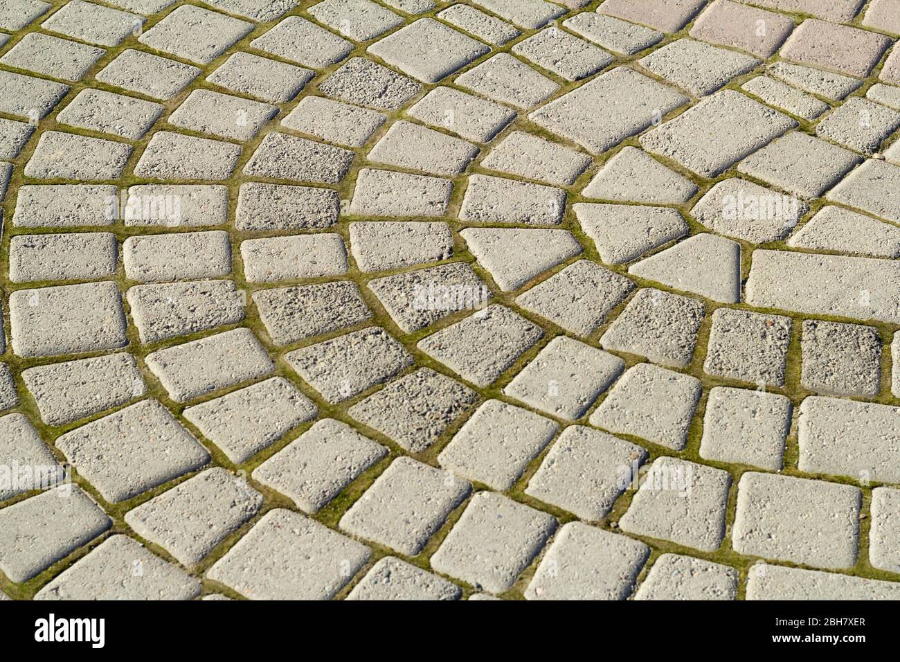Symmetrisches Muster von Bürgersteig Fliesen mit grünem Moos .Grey Pflaster Stein Textur Stockfoto