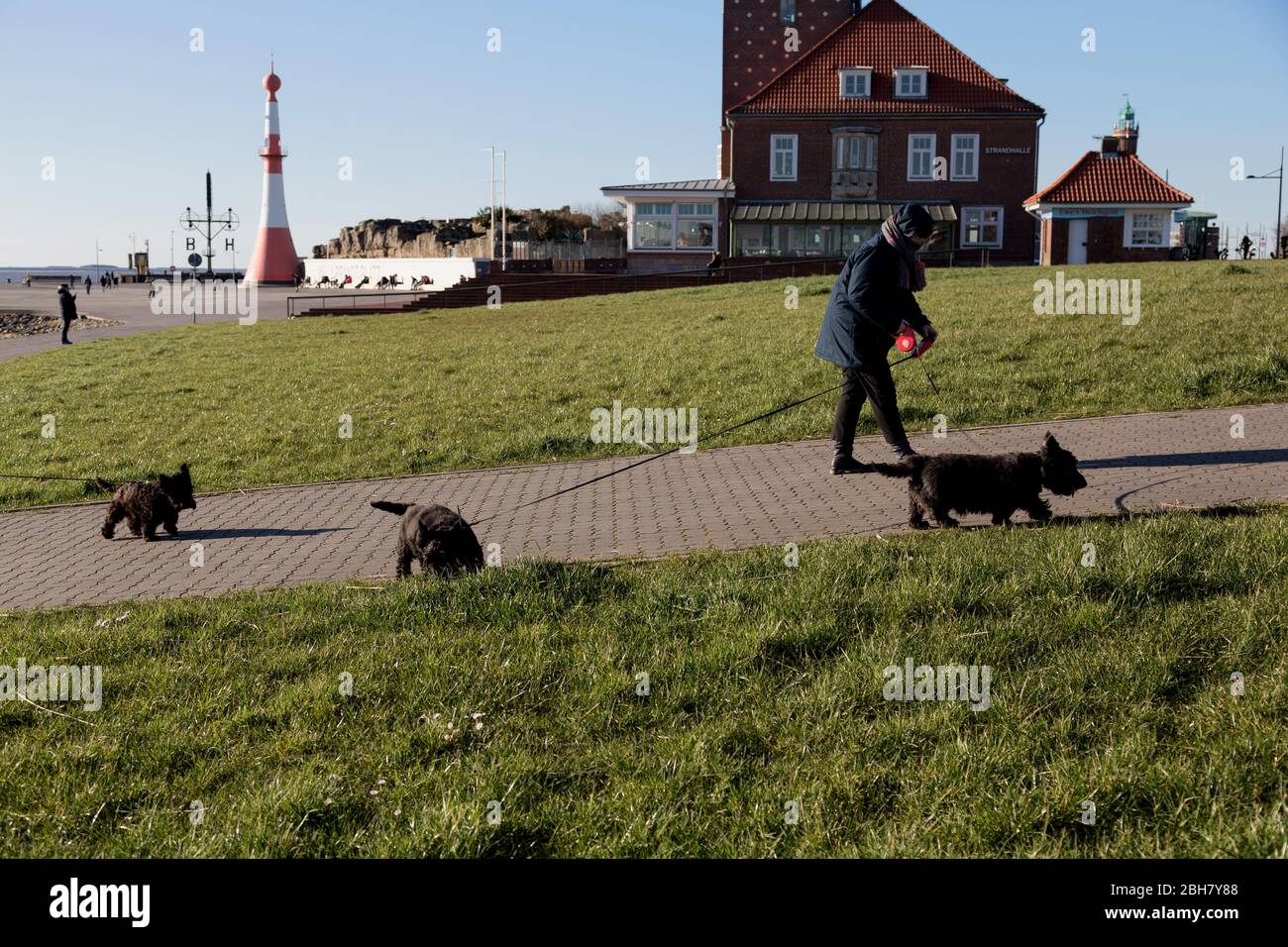 22.03.2020, Bremerhaven, Bremen - Walker mit Schottischen Terriers an der Wesermündung in die Nordsee. 00A200322D205CAROEX.JPG [MODELL RE Stockfoto