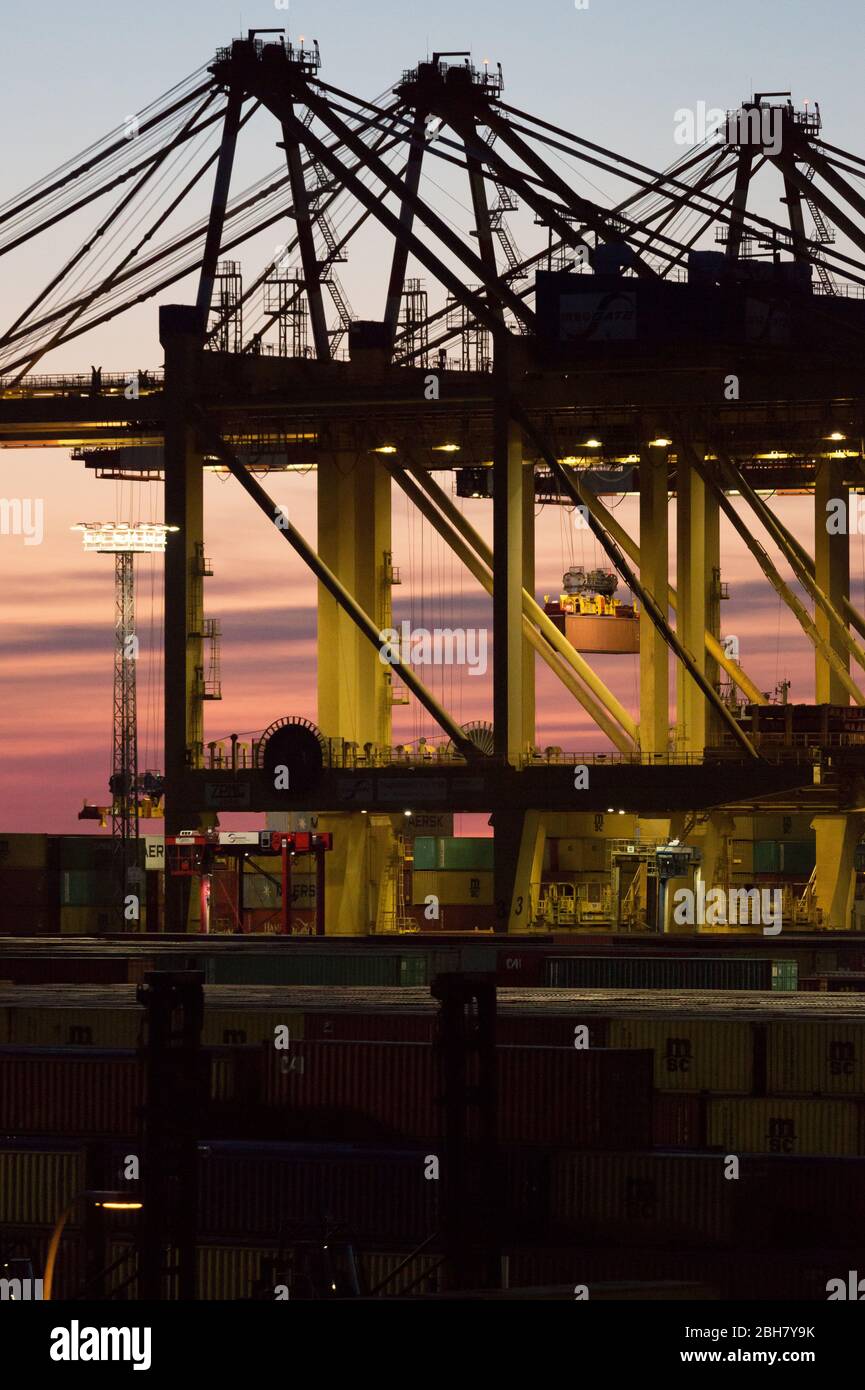 22.03.2020, Bremerhaven, Bremen, Deutschland - Container Gantry Krane, EUROGATE Container Terminal Bremerhaven, Drehscheibe für globale und innereuropäische t Stockfoto