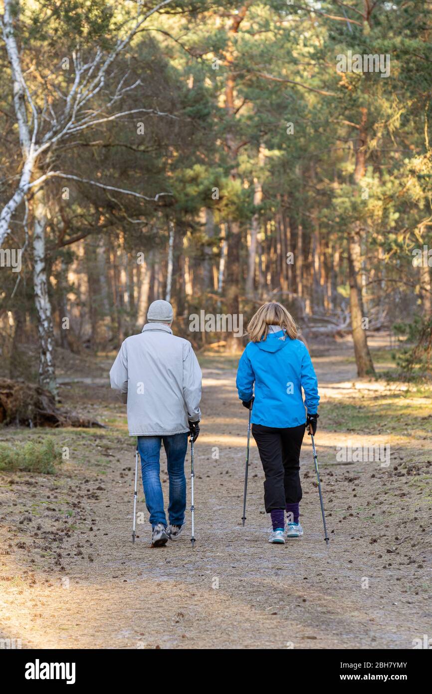 22.03.2020, Dreilinden, Brandenburg - EIN Paar läuft durch einen Wald. 0MK200322D014CAROEX.JPG [MODEL RELEASE: NEIN, PROPERTY RELEASE: NEIN Stockfoto