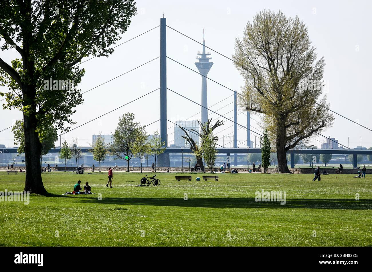 17.04.2020, Düsseldorf, Nordrhein-Westfalen, Deutschland - Rheinpark Golzheim in Zeiten der koronaepandemie mit Kontaktverbot, hinter der Oberkasseler Brücke Stockfoto