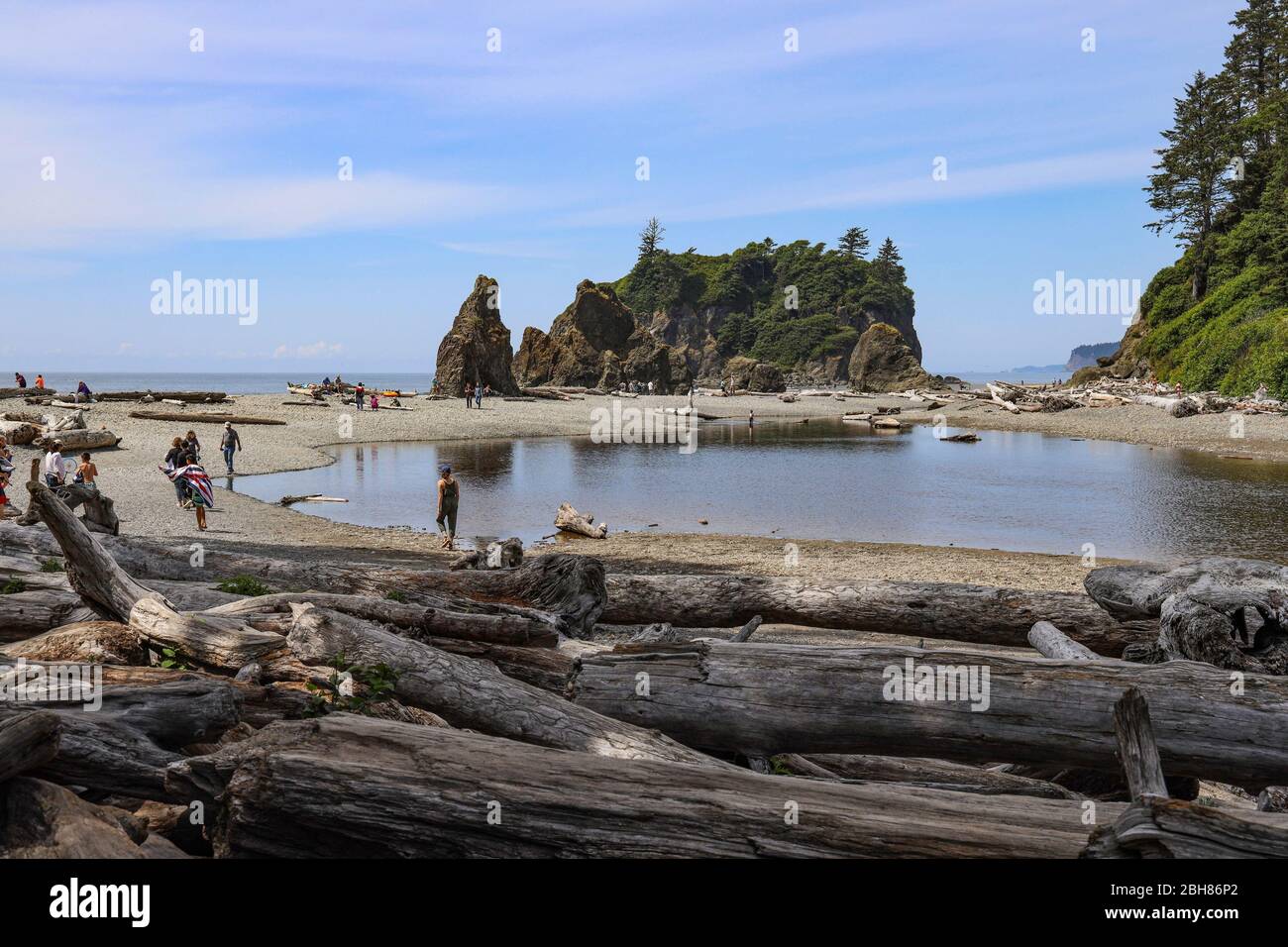 Timber Liters Ruby Beach at Forks, Olympic National Park, Washington, USA Stockfoto