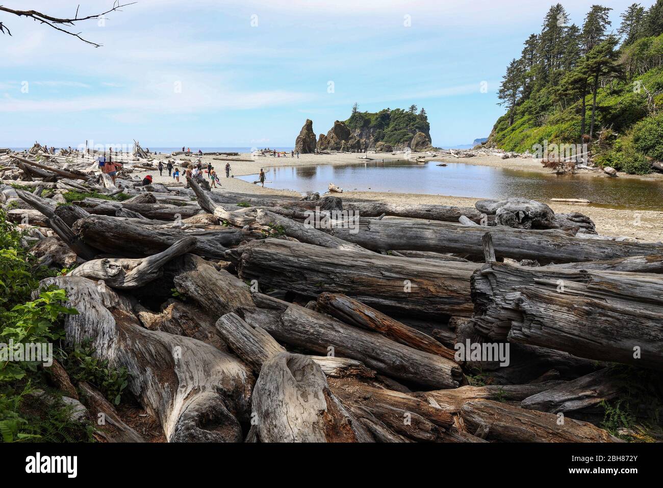 Timber Liters Ruby Beach at Forks, Olympic National Park, Washington, USA Stockfoto