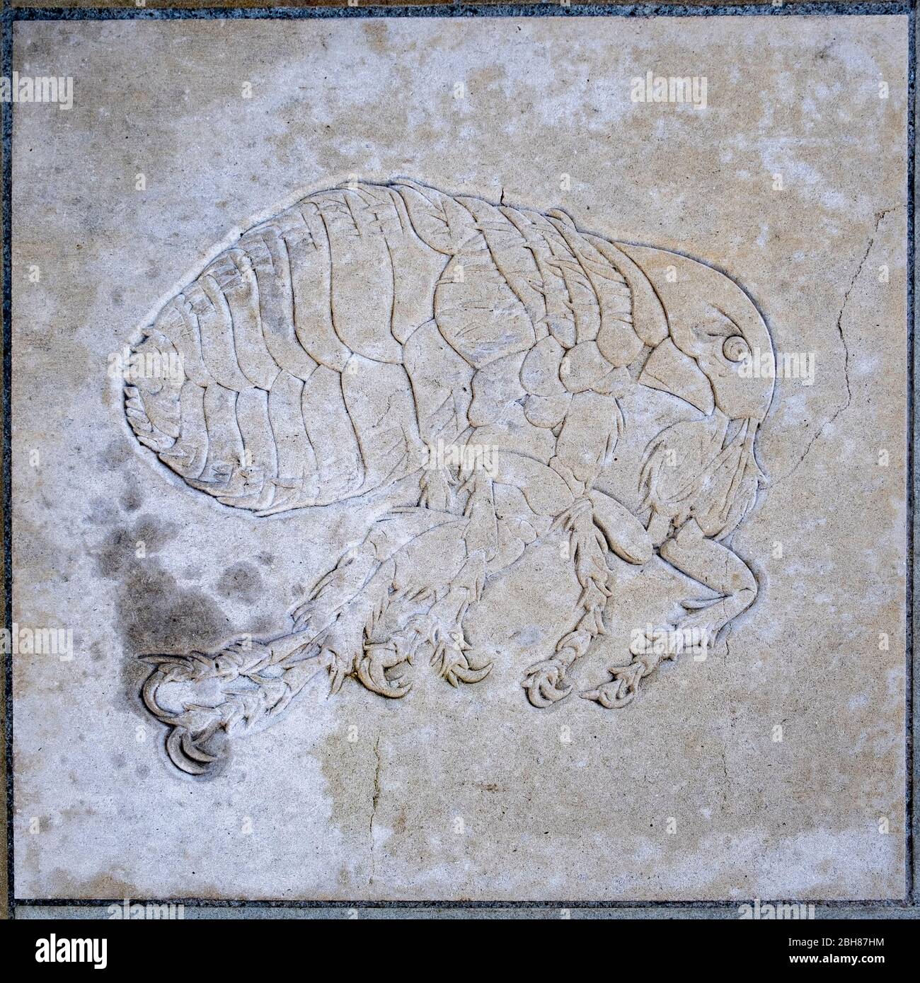 Seething Lane Garden, London, EC3, Flaggenstein mit Gravur eines Flohs, der auf die große Pest von London 1665-1665 Bezug nimmt Stockfoto