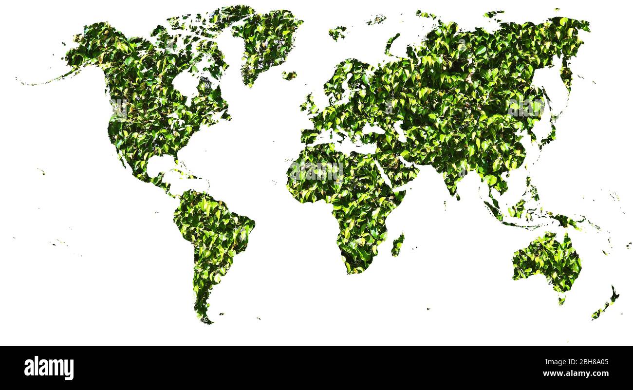 Weltkarte in grünen Blättern ausgeschnitten Stockfoto