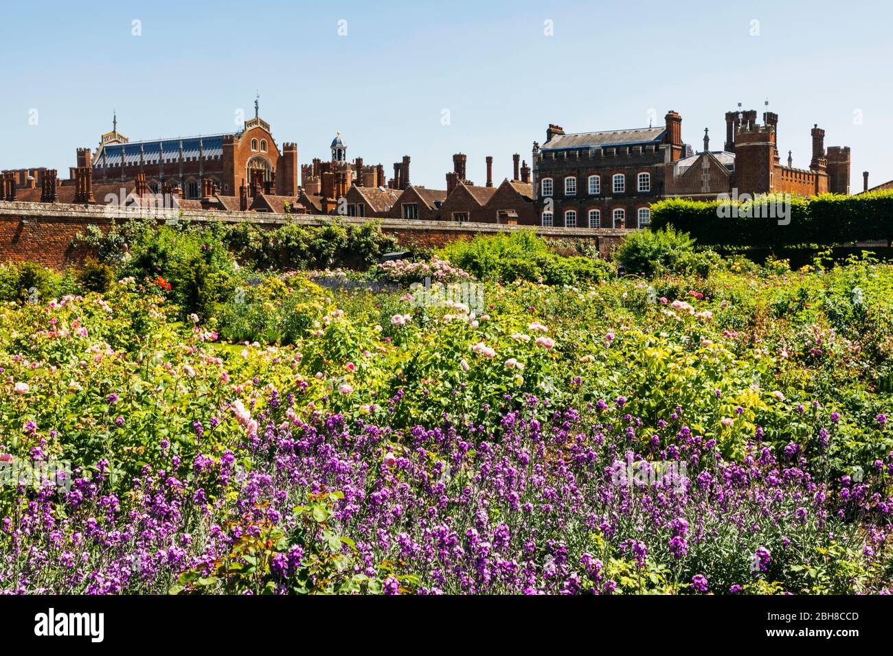 England, London, Richmond-upon-Thames, Hampton Court Palace, Gärten und Palace Stockfoto