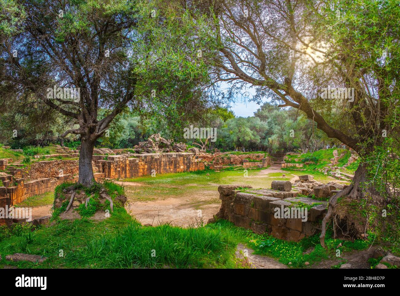 Argelia, Tipazza City, römische Ruinen von Tipazza City, der Zirkus, Arena, Stockfoto