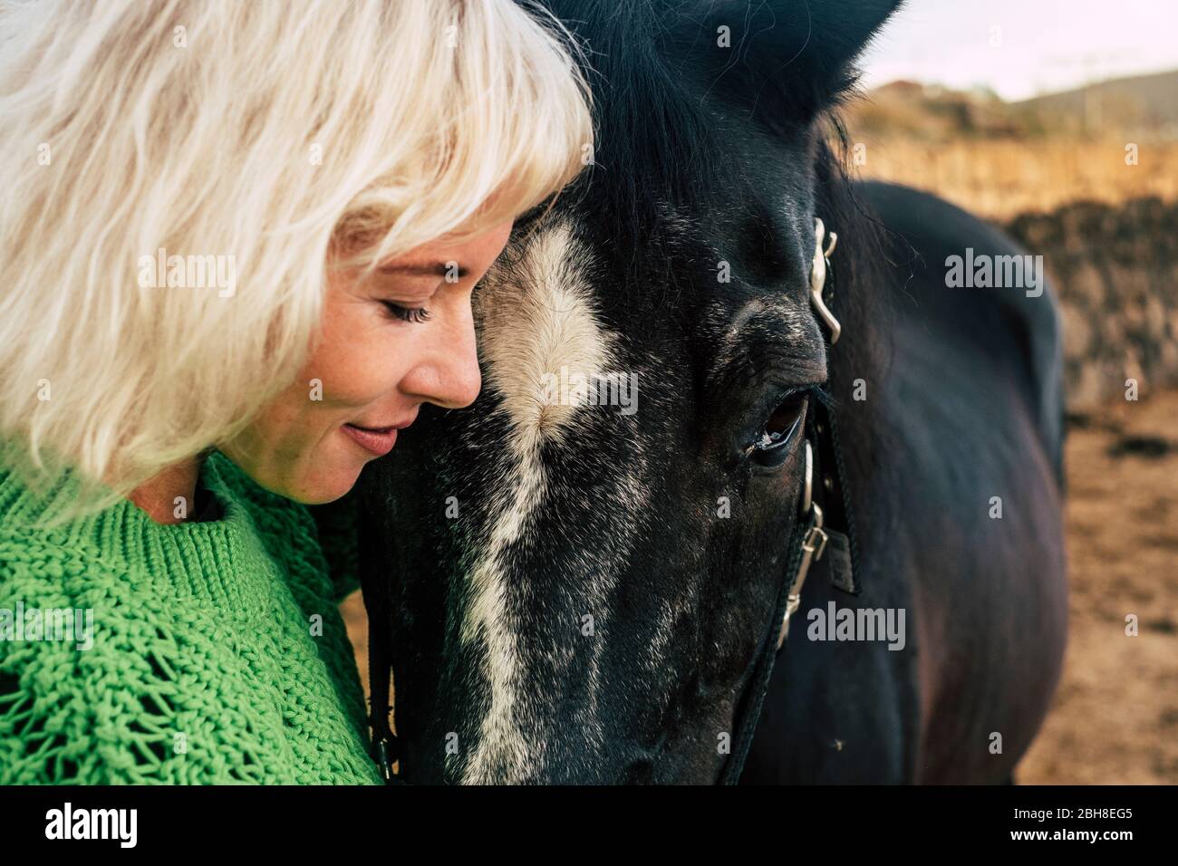 Love Konzept für Menschen und Animlas zusammen in Glück und Freundschaft. Beaitufl blonde Frau und dunkles Pferd im Freien landschaftlich Ort umarmen und lieben Stockfoto