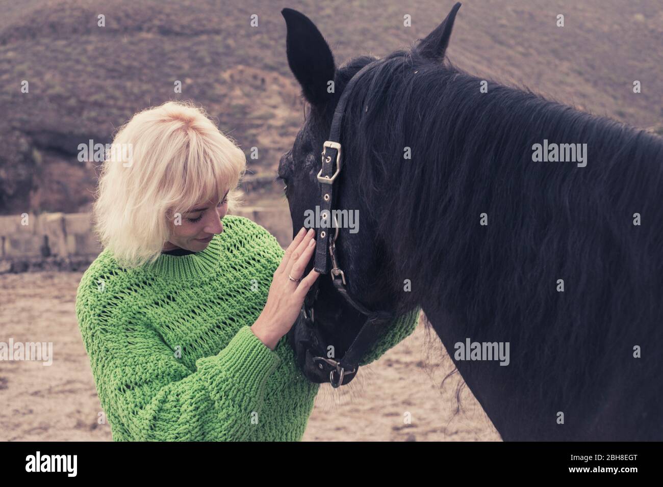 Fröhliche junge Dame blonde Haare mit ihrem schönen schwarzen dunklen schönen Pferd. Liebe und Zuneigung für Tiere in der Outdoor-Freizeitaktivitäten. Wildes und natürliches Lifestyle-Konzept Stockfoto