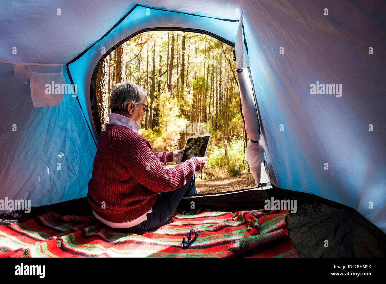 Ältere Erwachsene Rentnerin sitzt in einem Zelt in freier Wildcamping allein im Wald mit einer Technologie Internet verbundenen Tablet, um die Reise zu organisieren und überprüfen Social Media für digitale Nomaden Arbeit Stockfoto