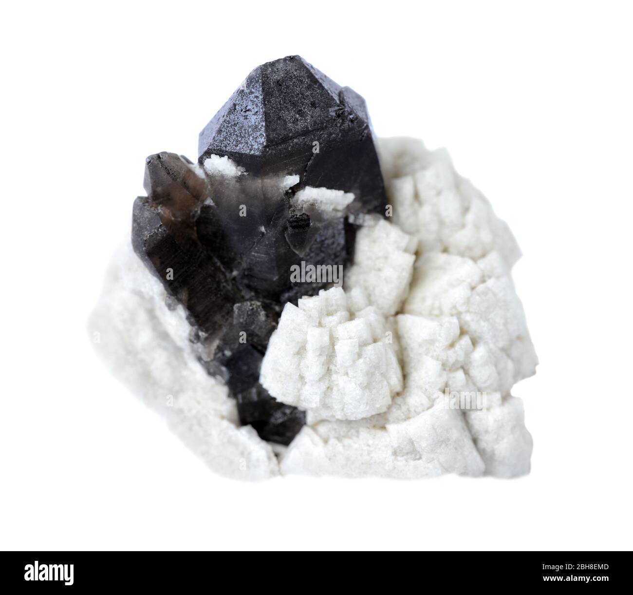 Sehr dunkle rauchige Quarz (Morion) Kristalle in weißem Albit auf weißem Hintergrund isoliert Stockfoto