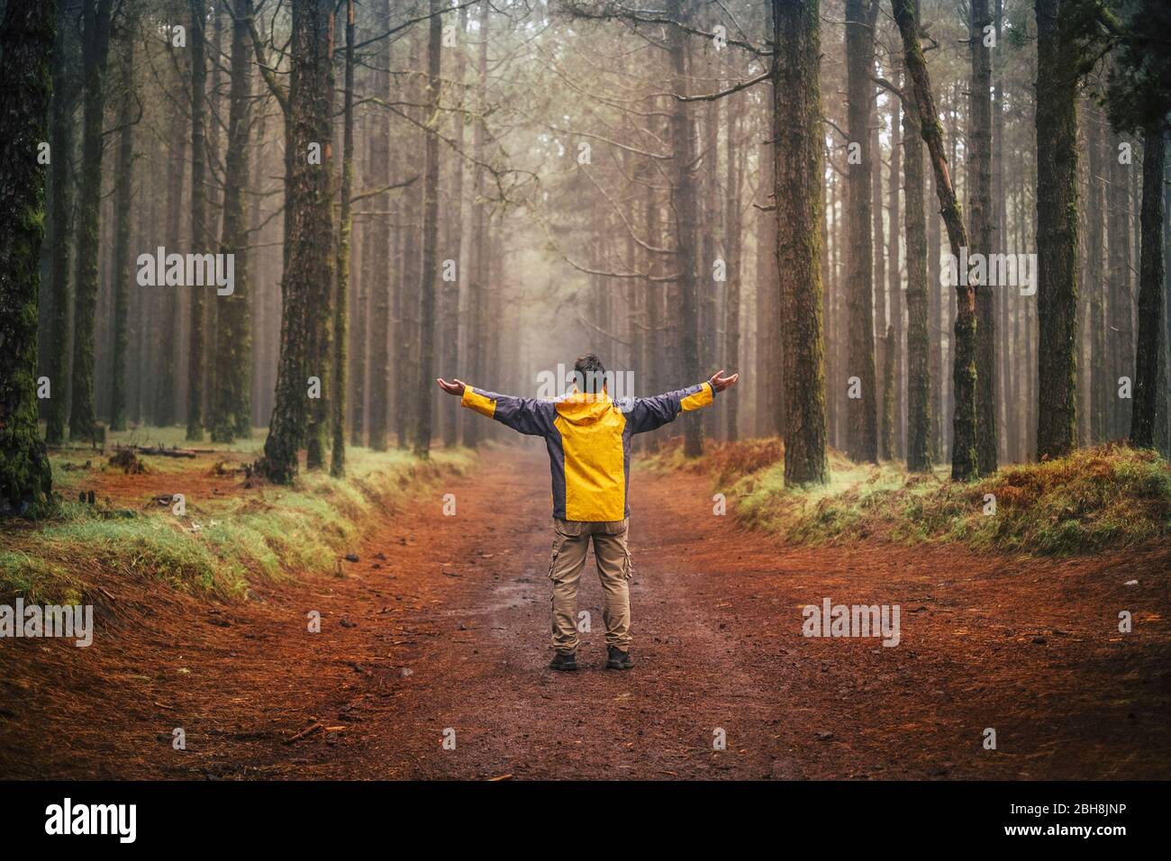 Mann mit Trekkingausrüstung steht in der Mitte einer Straße genießen Freiheit und alternative Urlaub Abenteuer Lebensstil - Wald und Holz Natur landschaftlich schönen Ort mit hohen Bäumen Stockfoto