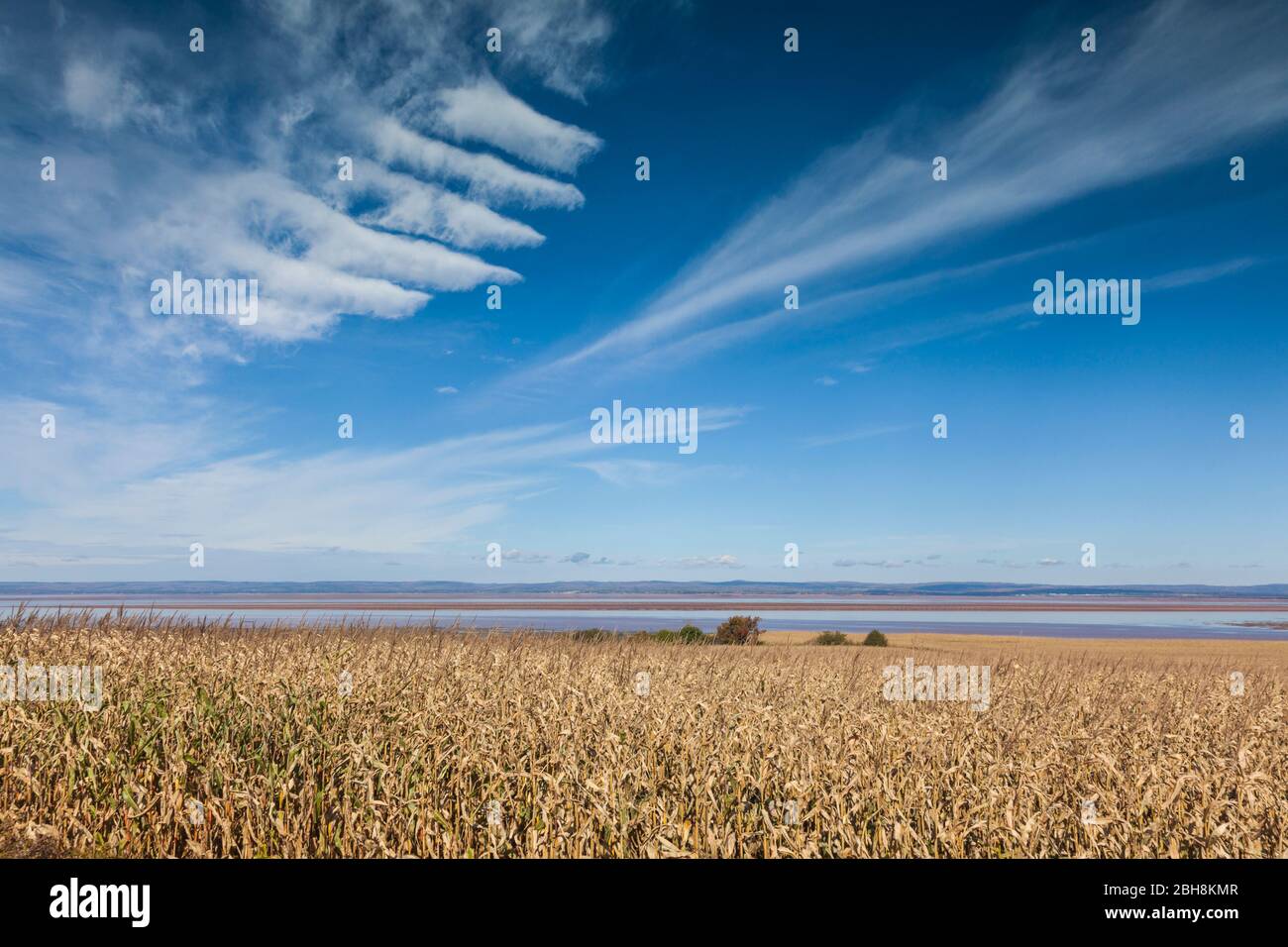 Kanada, Nova Scotia, Noel Ufer, Bauernhof Feld durch das Minas Basin Stockfoto