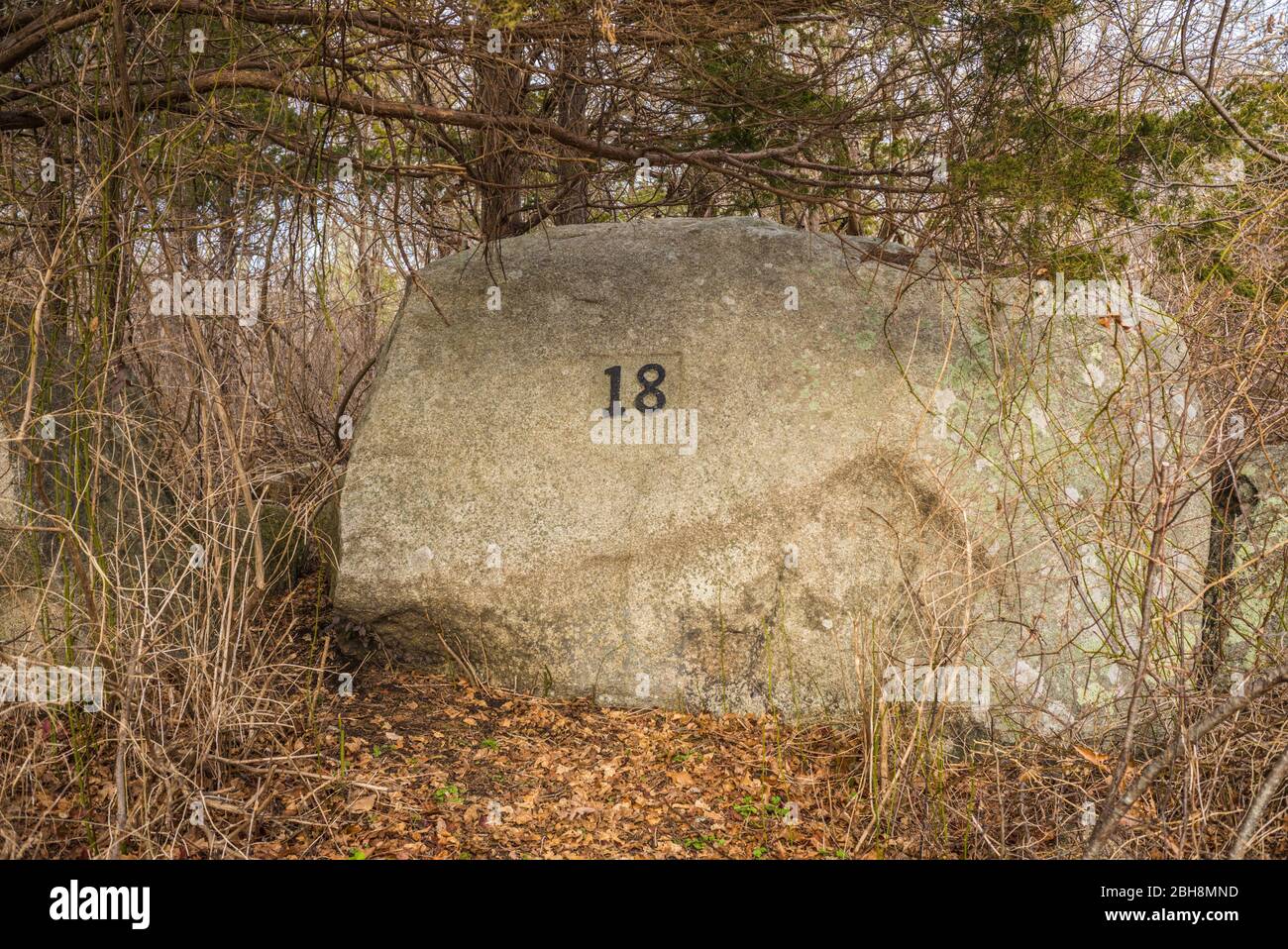 USA, New England, Massachusetts, Cape Ann, Gloucester, Dogtown Commons, Haus Stiftung Marker 18, Ruinen der alten Immobilien Stockfoto