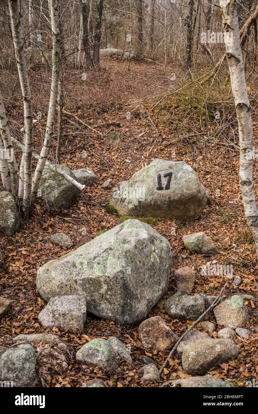 USA, New England, Massachusetts, Cape Ann, Gloucester, Dogtown Commons, Haus Stiftung Marker 17, Ruinen der alten Immobilien Stockfoto