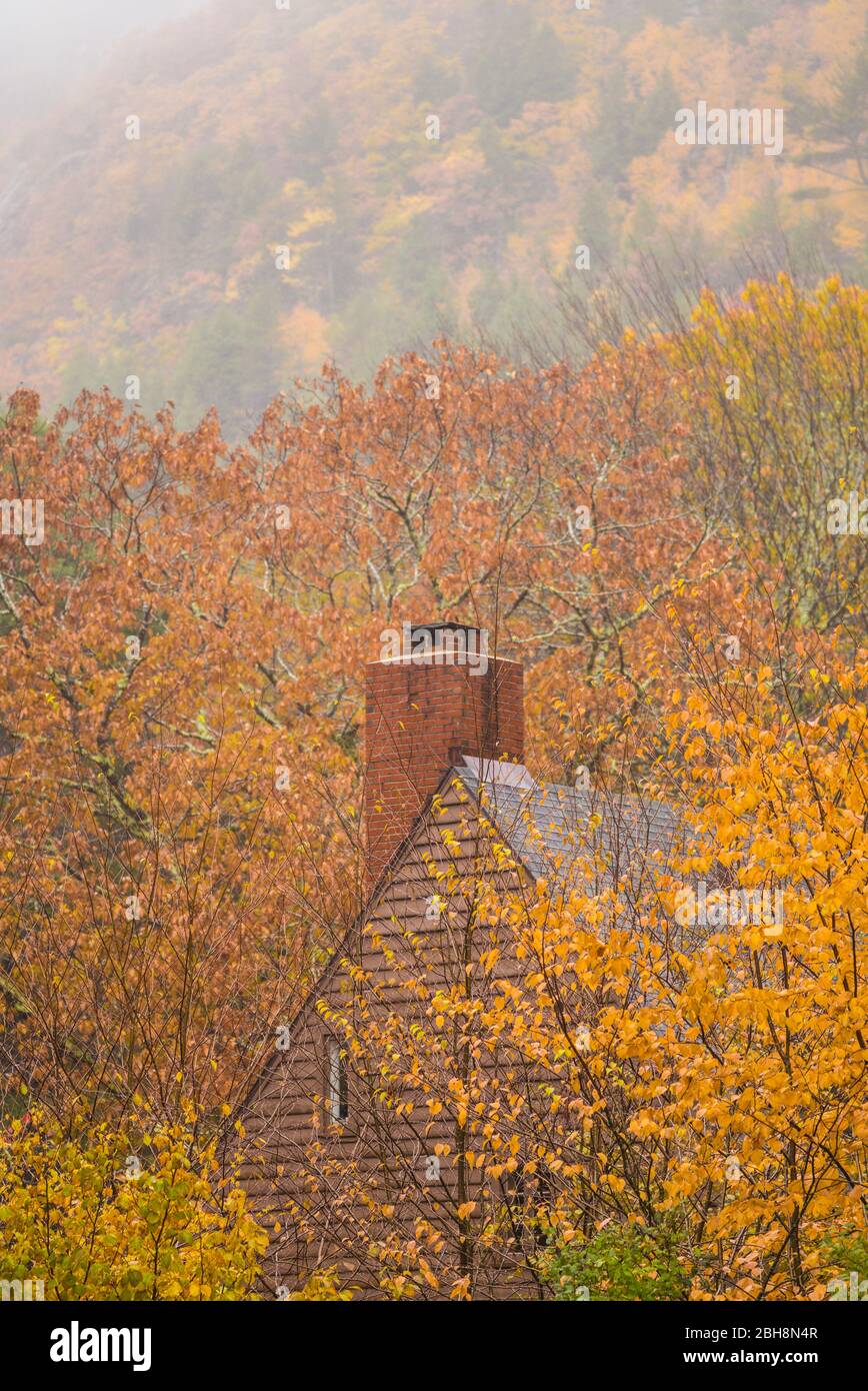 USA, Maine, Mt. Desert Island, Acadia National Park, Sieur de Monts, Park, Herbst Stockfoto