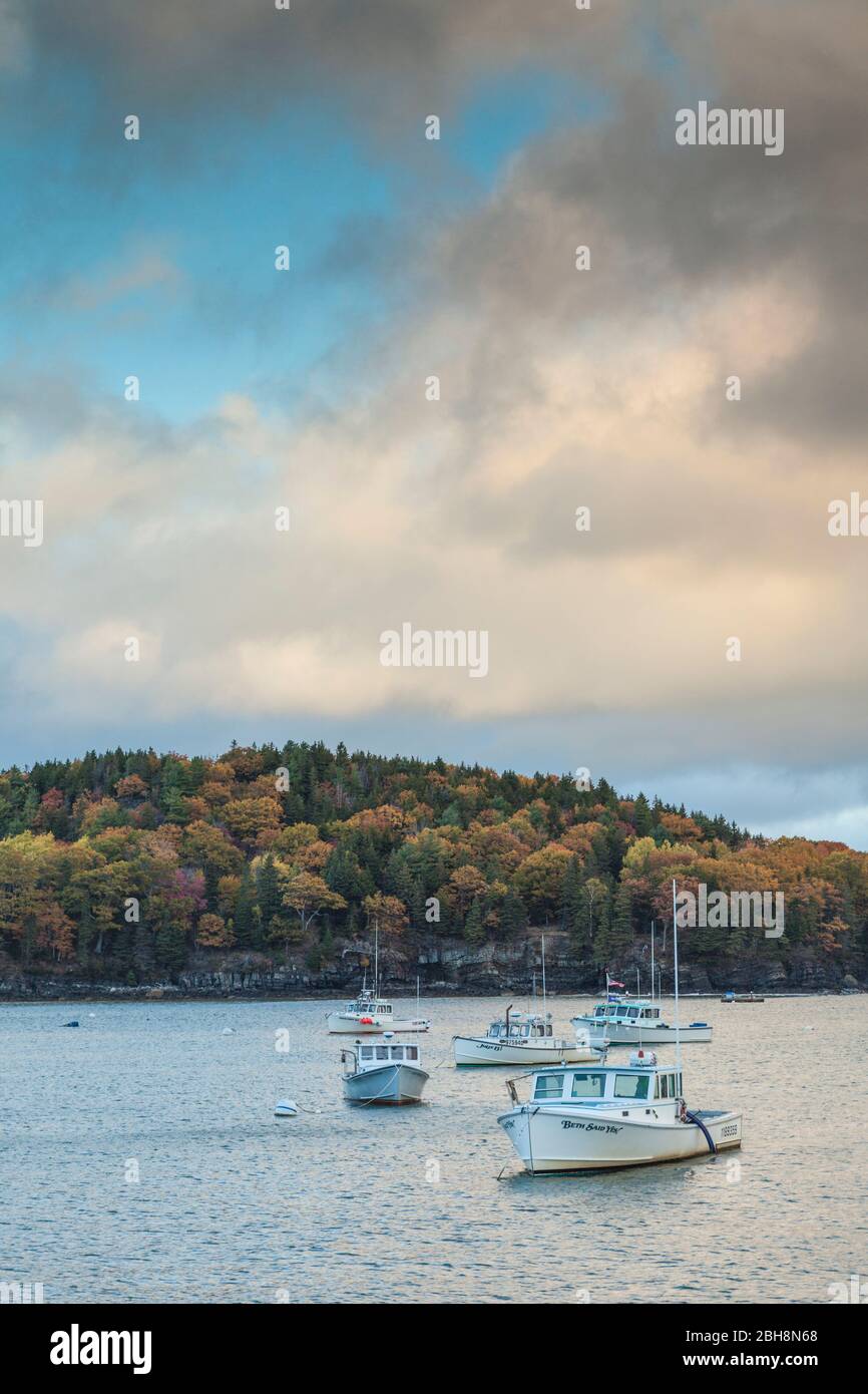 USA, Maine, Mt. Desert Island, Bar Harbor, Blick auf die Frenchman Bay, Herbst Stockfoto