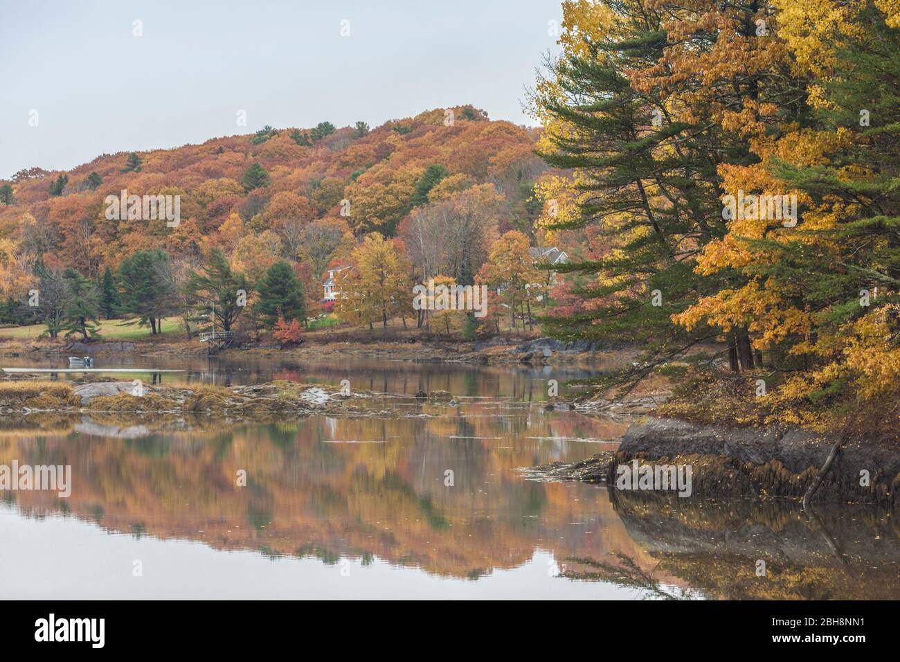 USA, Maine, Georgetown, Robinhood Cove, Herbst Stockfoto