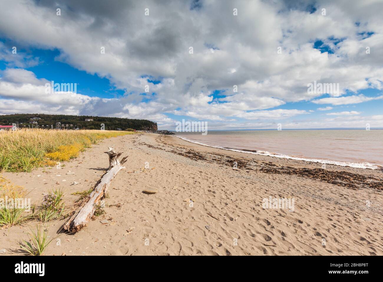 Kanada, New Brunswick, Bucht von Fundy, Alma, Gateway zu Fundy National Park, Stadt Strand Stockfoto