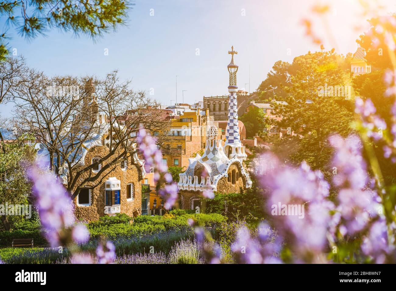 Buntes Mosaikgebäude im Park Güell. Violette Blume im Vordergrund. Abendlicht warme Sonne Fackeln, Barcelona, Spanien. Stockfoto