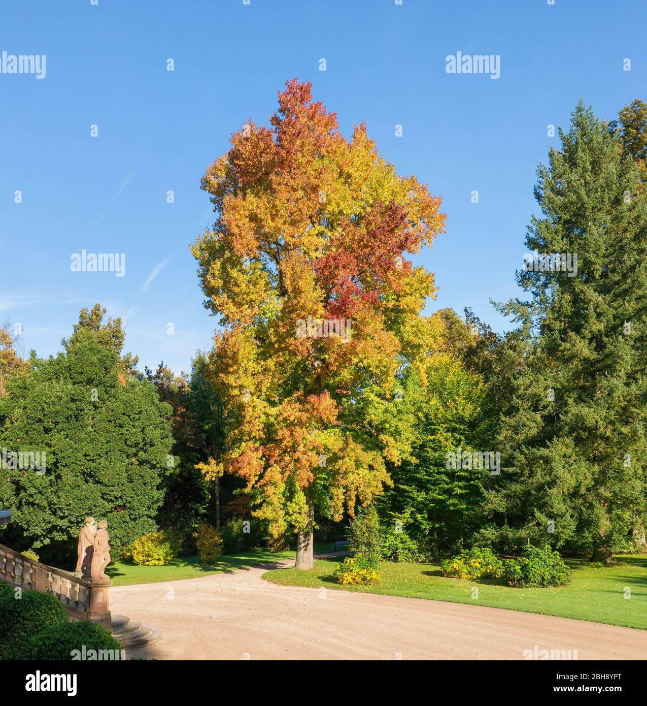 Herbst im schlossgarten von schloss favorit Fotos und Bildmaterial in