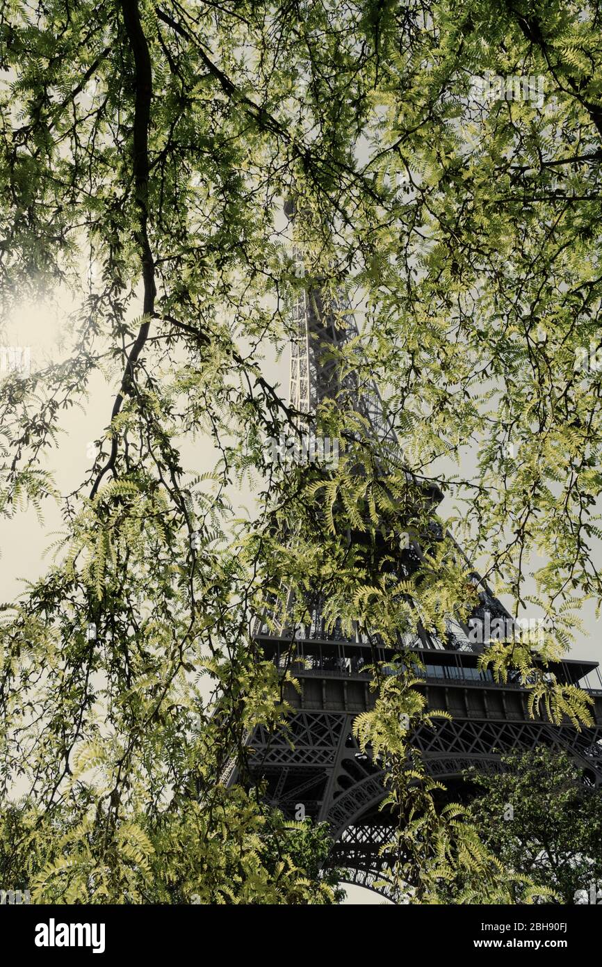 Jardin du Champs de Mars mit Eiffelturm im Hinterlicht Stockfoto
