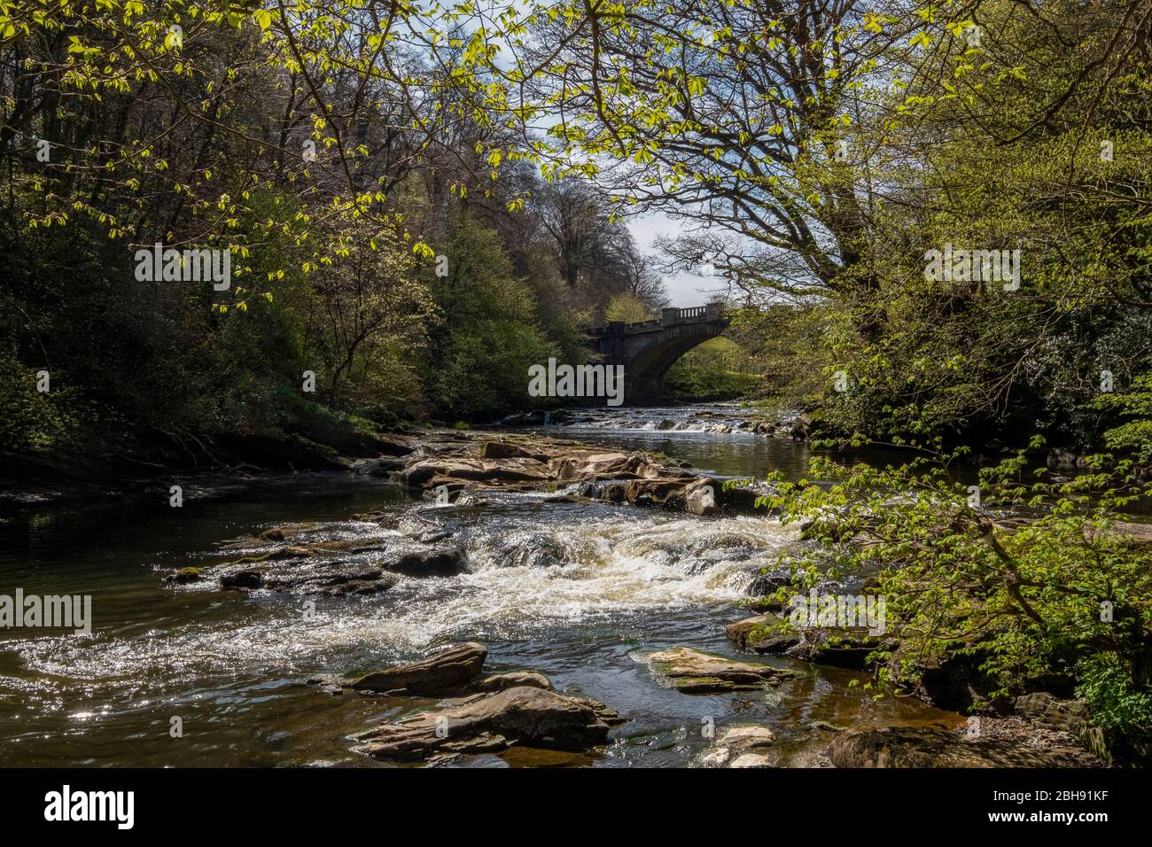 The River Almond and Naismith Bridge, Almondell Country Park, West Lothian, Schottland. Stockfoto