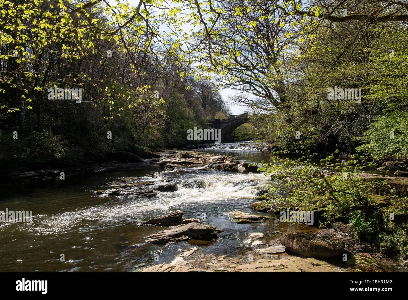 The River Almond and Naismith Bridge, Almondell Country Park, West Lothian, Schottland. Stockfoto