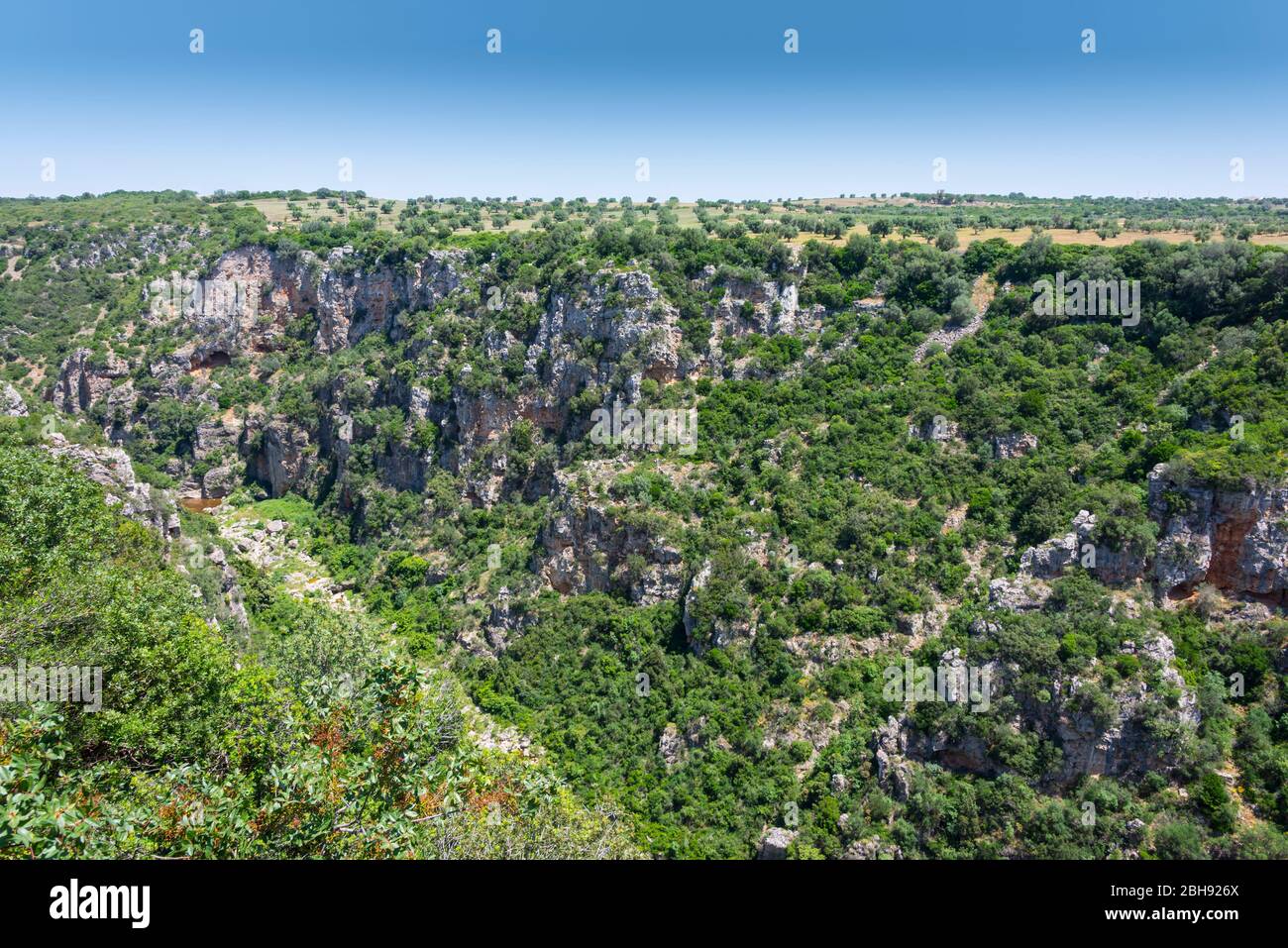 Italien, Mezzogiorno, Apulien / Apulien, Halbinsel Salento, Castellaneta, Schlucht Gravina Grande Stockfoto