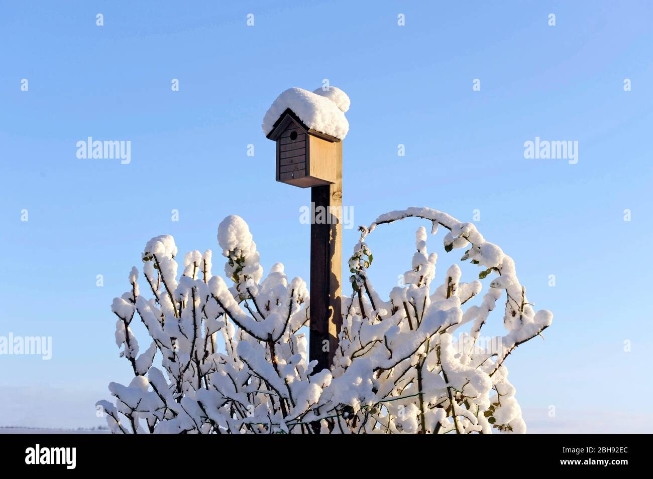 Schneebedeckter Garten mit Nistkasten für Singvögel im Winterschlaf Stockfoto