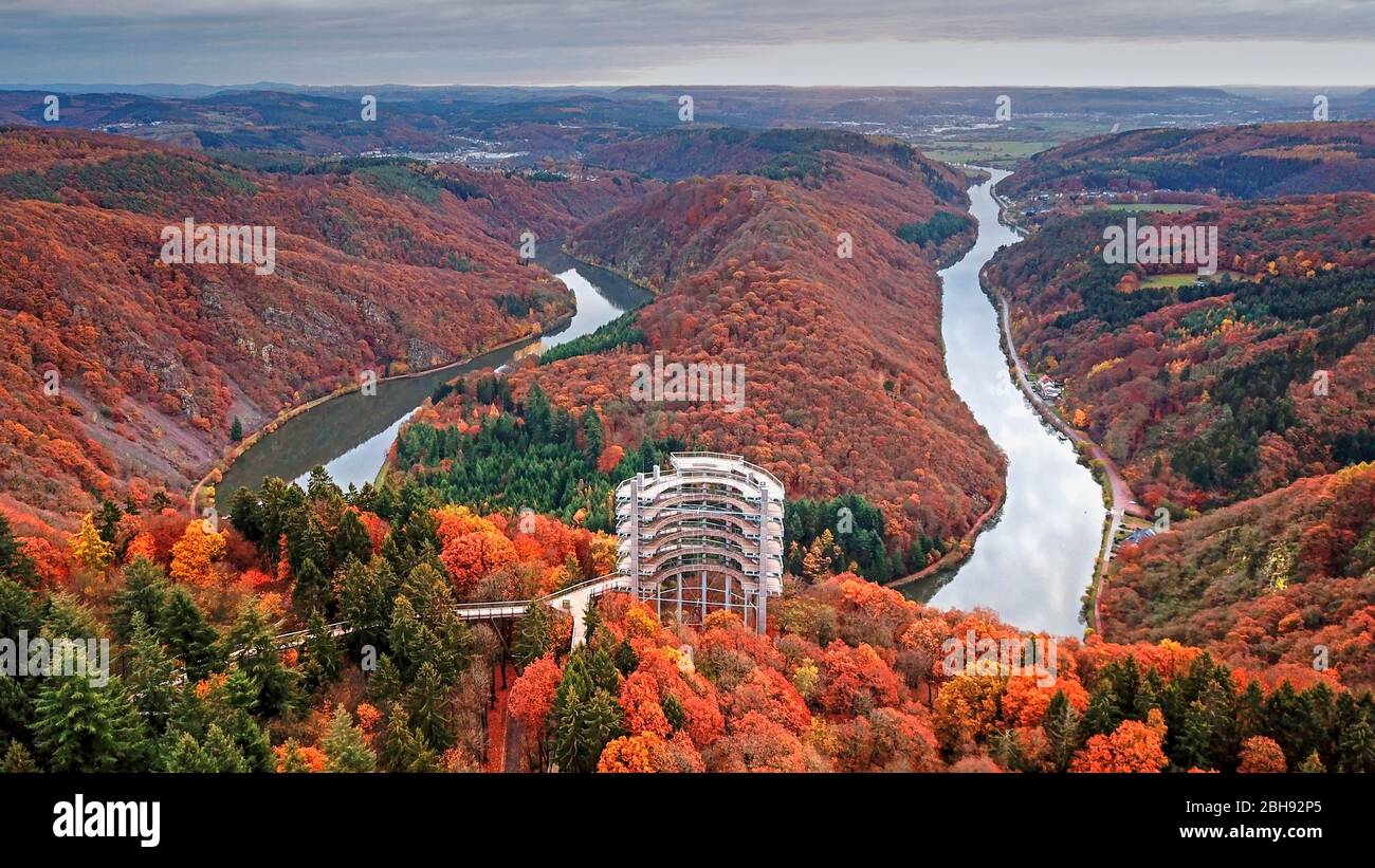 Baumkronenweg Saarschleife und Saarschleife bei Mettlach-Orscholz, Saarland, Deutschland Stockfoto