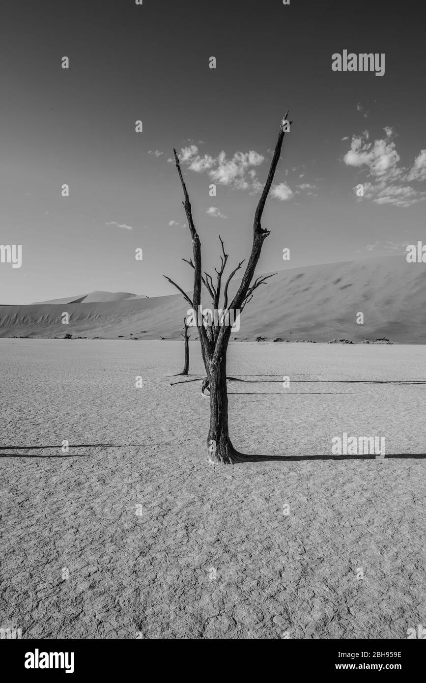 Fotoreisen durch Namibia und die Skelettküste Stockfoto