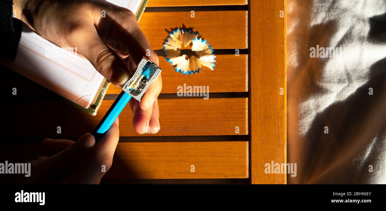 Frau schärft ihren Bleistift mit einem Bleistiftspitzer. Stockfoto