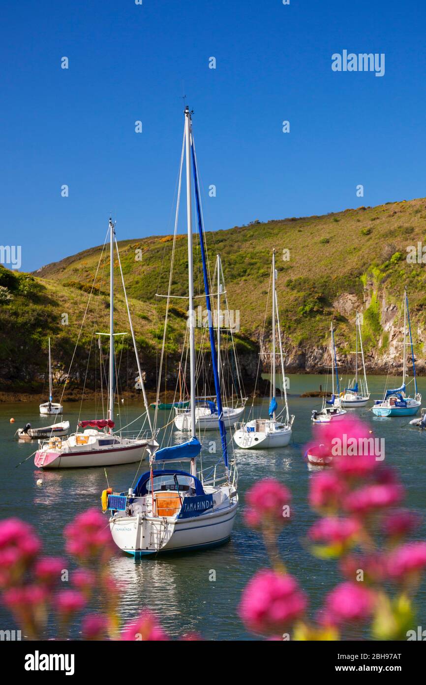 Solva Harbour, Solva, Pembrokeshire, Wales, Großbritannien Stockfoto