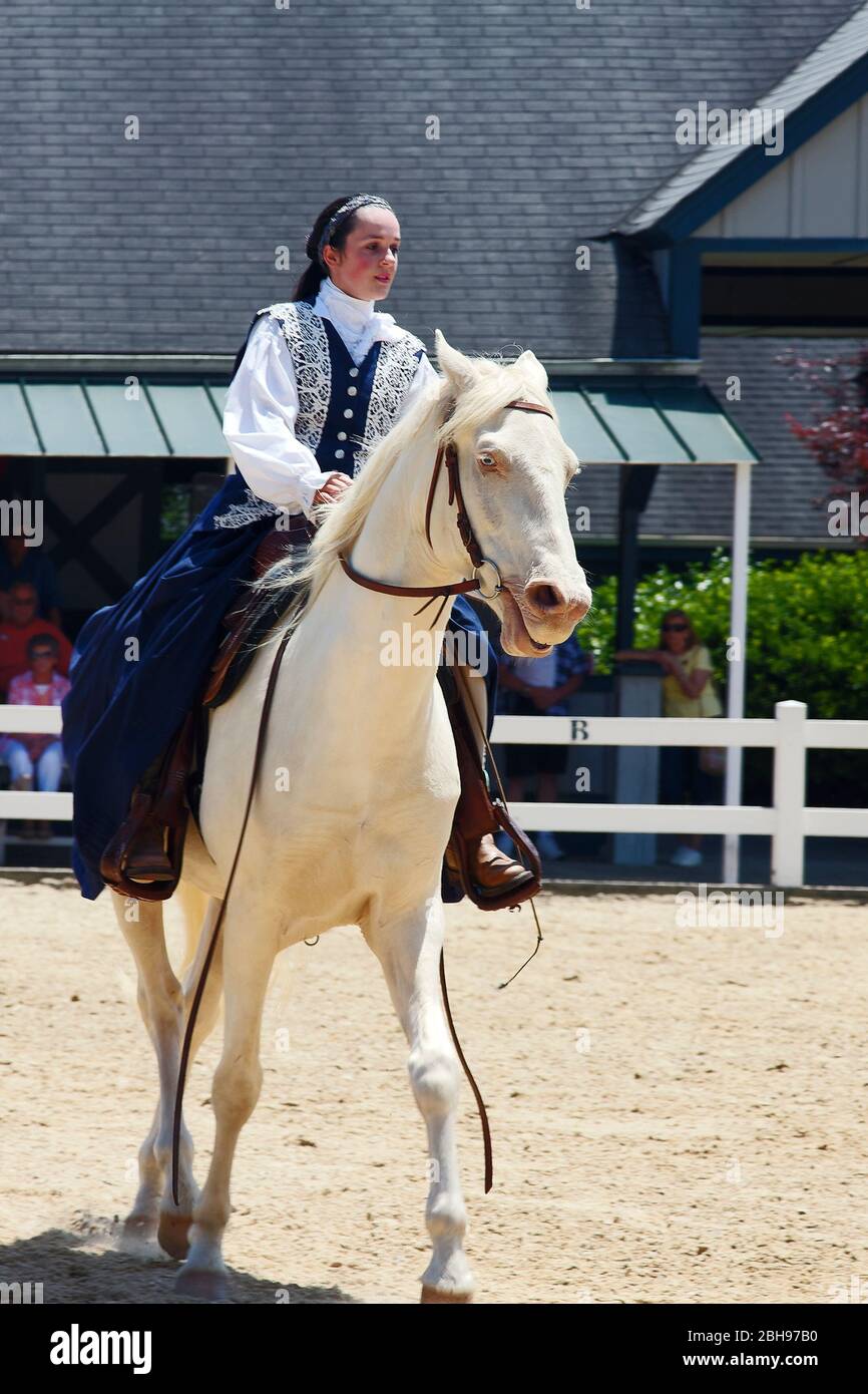 Pferdeshow, weißes Pferd, Beine bewegen, Reiter in Volkskleid, Marine, weiß, Leistung, Unterhaltung, Tier, Geschicklichkeit, Kentucky Horse Park, USA, Lexingto Stockfoto