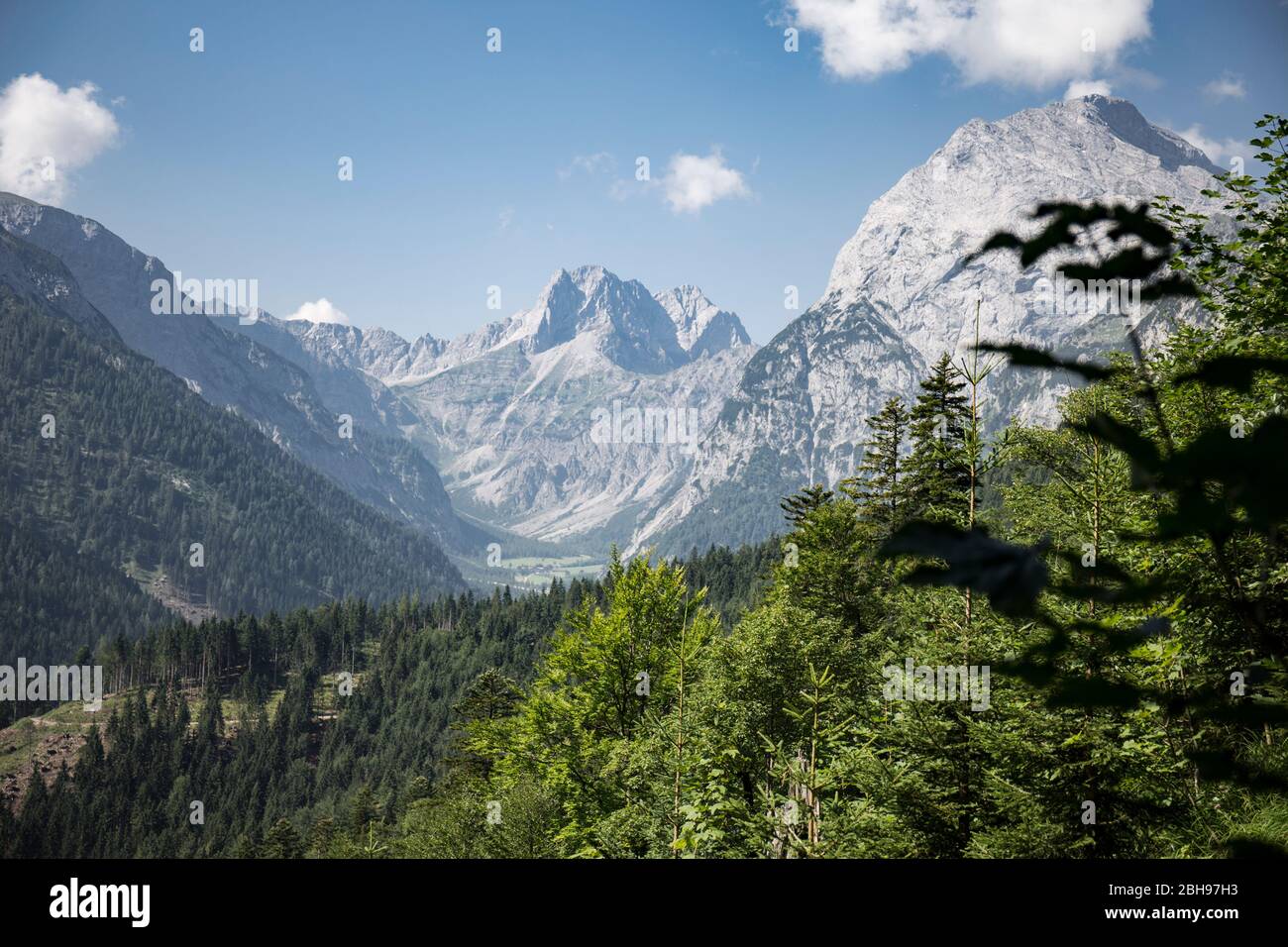 Berglandschaft mit Feilkopf, am Achensee, Tirol, Österreich Stockfoto