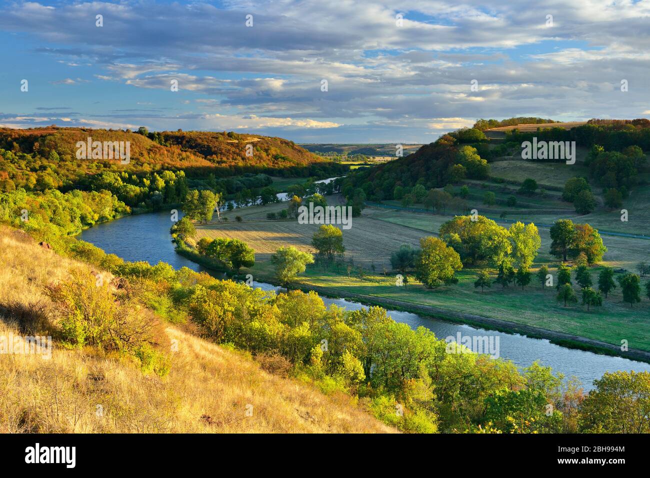 Blick auf die Saale, Herbstlandschaft, Naturpark 'Unteres Saaletal', Sachsen-Anhalt, Deutschland Stockfoto