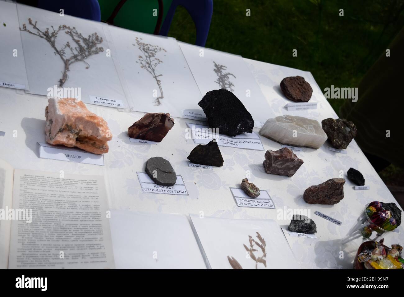 Krasnodar, Russland - 1. Mai 2019: Museum von drei Fossilien im Freien. Eine Straßenausstellung mit Exponaten. Stockfoto