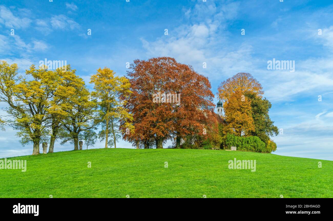 Deutschland, Baden-Württemberg, Wolfegg, Baumgruppe mit Esche Buche Eiche Linde, hinter der Wolfegger Loretokapelle. Stockfoto