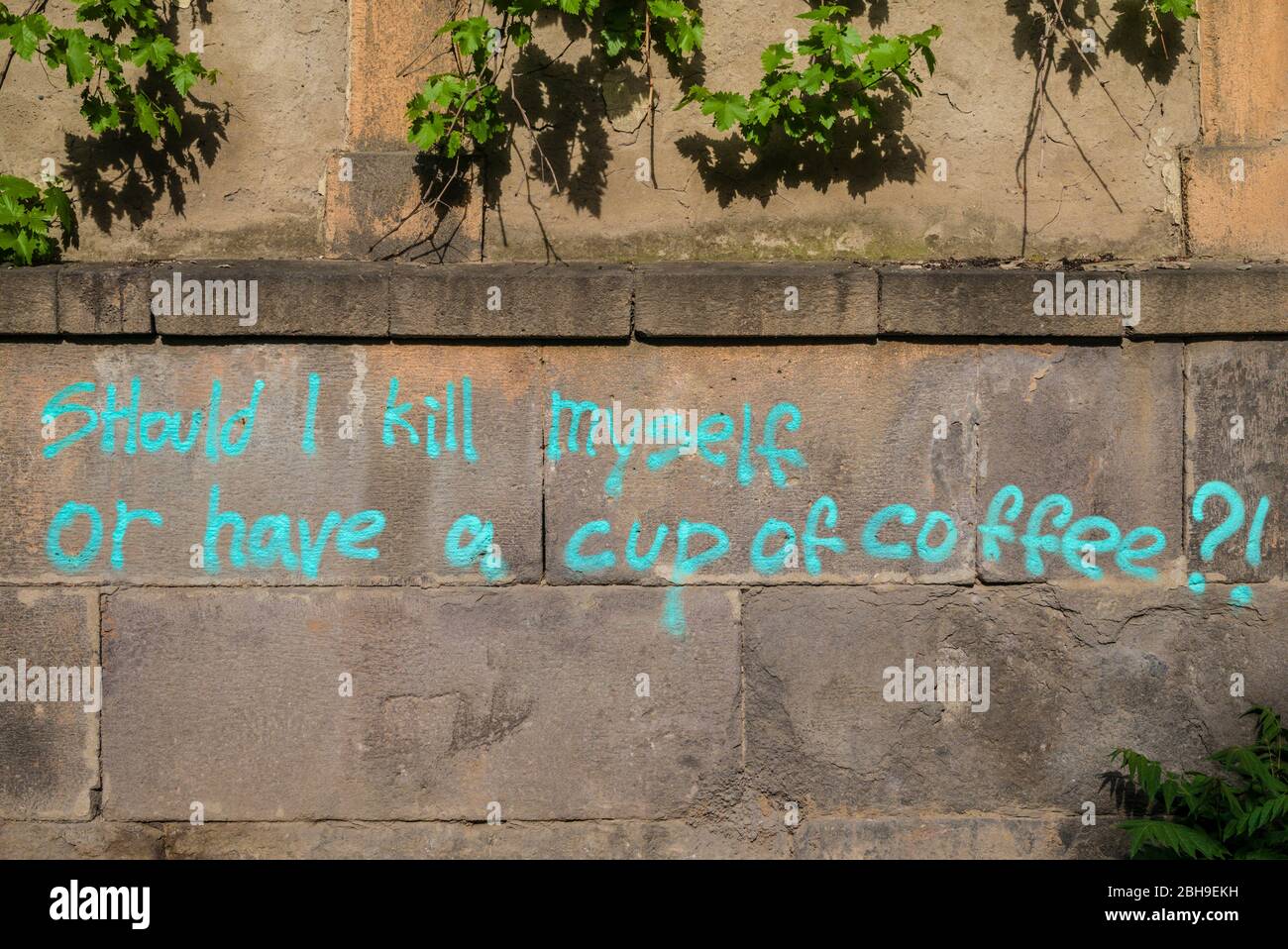 Georgien, Tiflis, Altstadt, grafitti, sollte ich mich töten oder eine Tasse Kaffee? Stockfoto