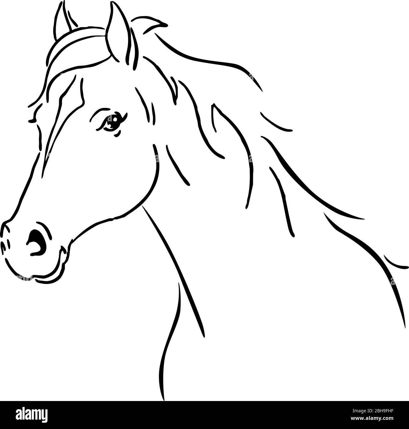 Schwarze Linie Pferd Skizze Vektor Illustration Stock Vektor