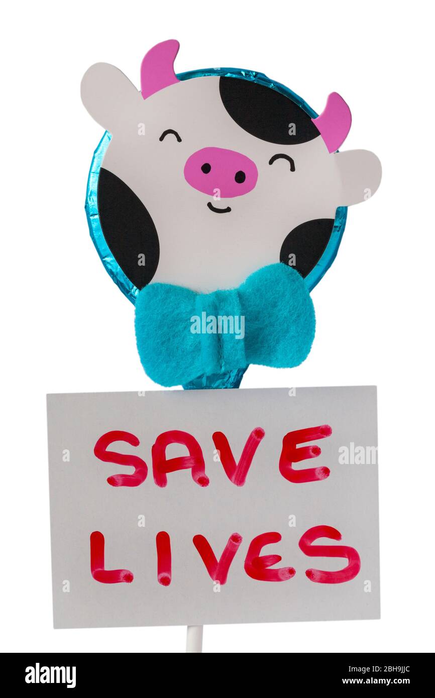 M&S Ostern Kuh folierte Vollmilch Schokolade Lollipop mit Save Lives Zeichen auf weißem Hintergrund gesetzt - Konzept zu Hause für Coronavirus Sperrung UK bleiben Stockfoto